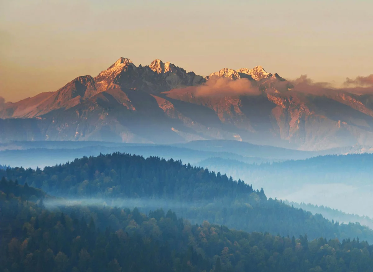 Klimatyzacja Pruszków: Jak Wybrać Najlepsze Rozwiązania dla Twojego Domu?