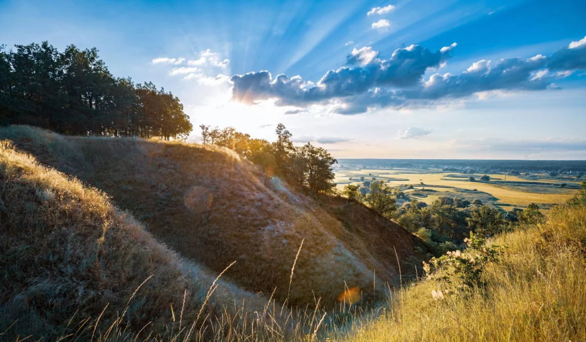 Bazy Danych o produktach i opakowaniach oraz o gospodarce Odpadami w Rumunii: Klucz do Zrównoważonego Rozwoju i Ochrony Środowiska
