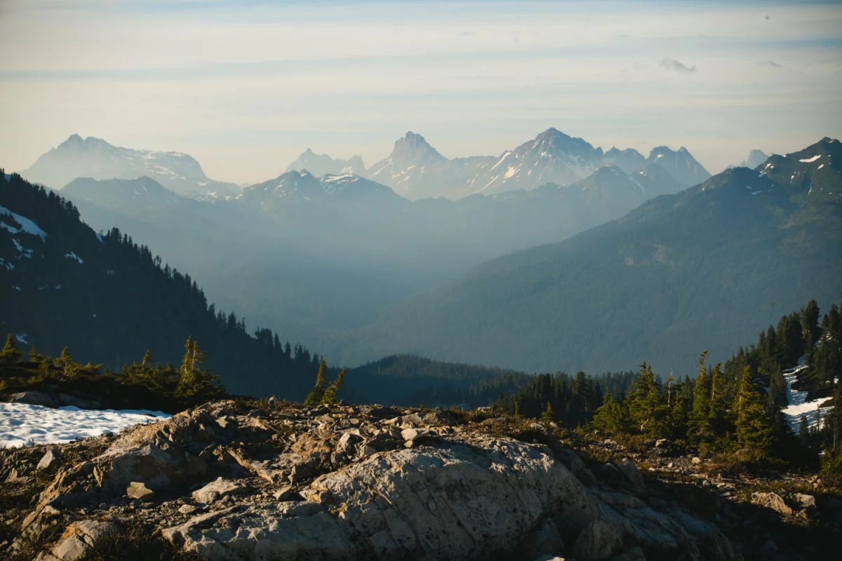 Doradztwo w zakresie ochrony środowiska: klucz do zrównoważonego rozwoju i efektywności ekologicznej