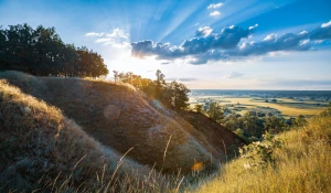 Bazy Danych o produktach i opakowaniach oraz o gospodarce Odpadami w Niemczech: Klucz do Zrównoważonego Rozwoju i Efektywnego Zarządzania Odpadami