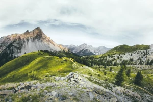 Shoty konopne - rewelacyjny dodatek do imprez. Shoty konopne są świetne dla rozrywki!